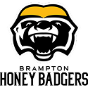 Brampton Honey Badgers