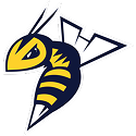 Edmonton Stingers